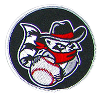 Iron On Patches - Portfolio