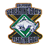 Iron On Patches - Portfolio